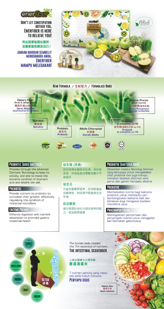 enerfiber-leaflet1