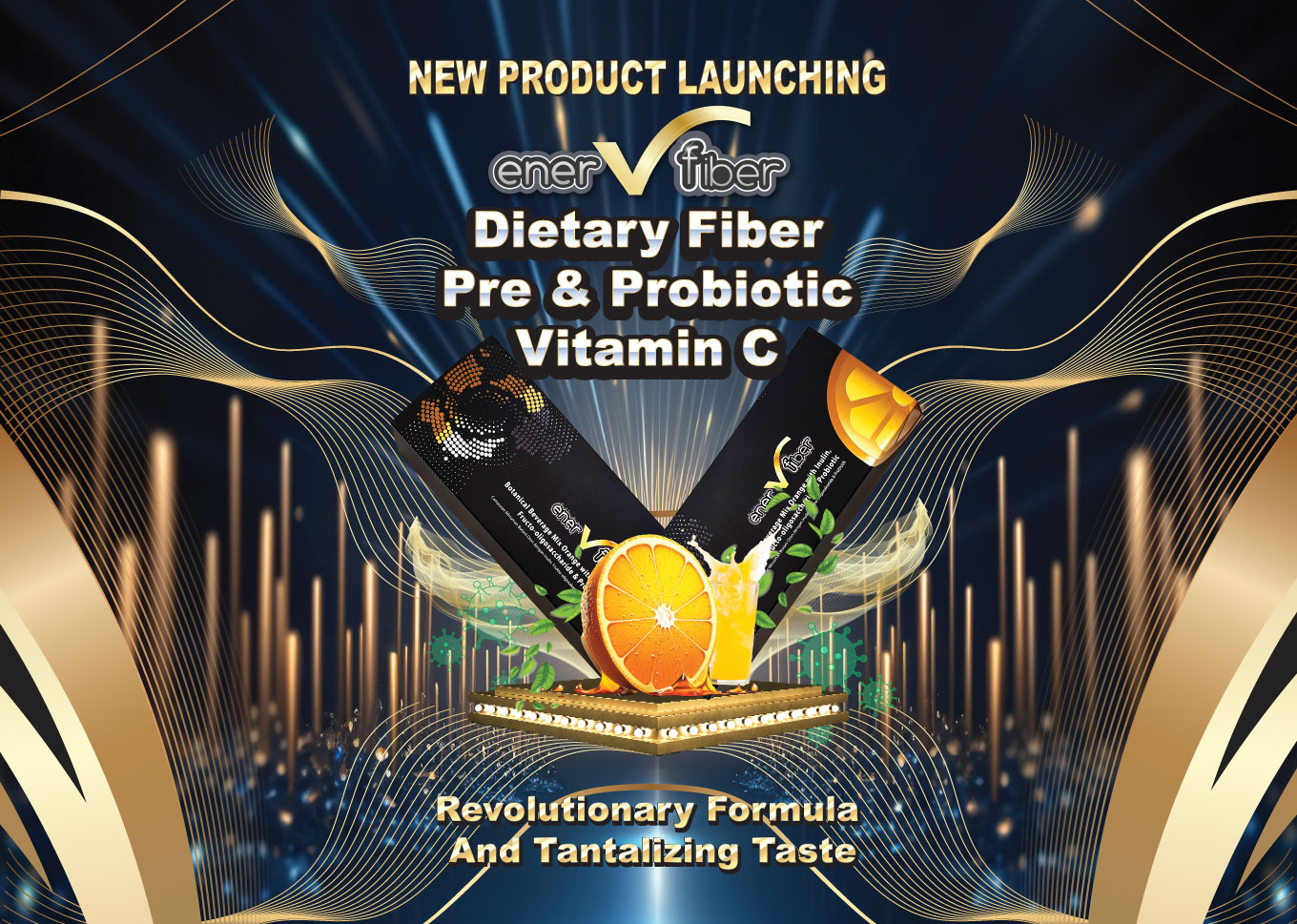 EnerVfiber-new product-banner-design